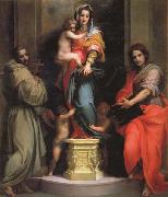 Andrea del Sarto Madonna and Child with SS.Francis and John the Baptist china oil painting artist